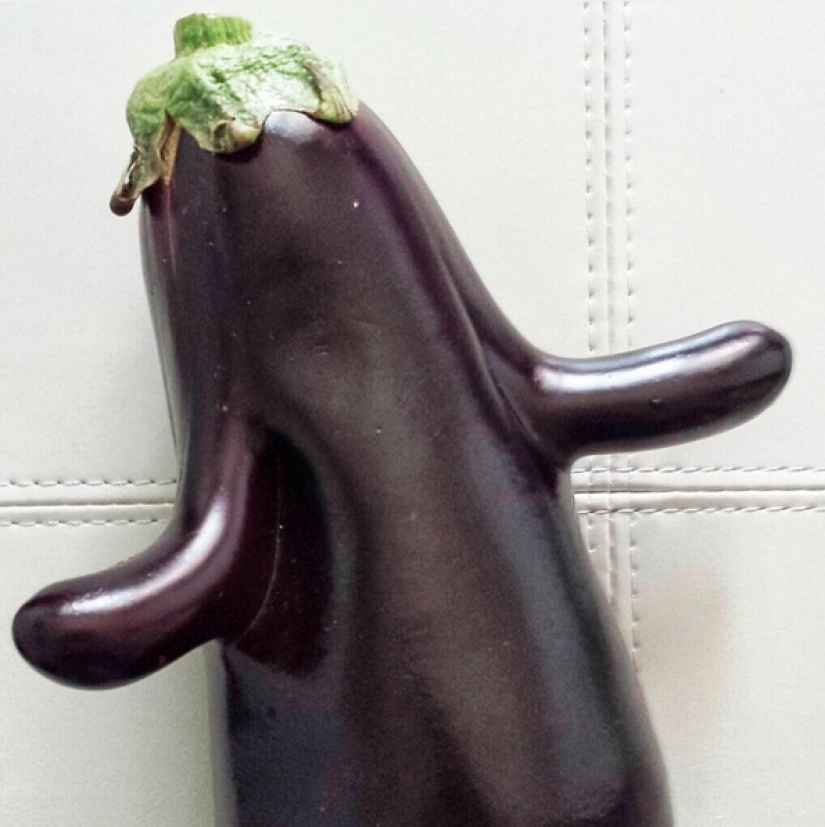 Como berenjena común, se convirtió en una ocasión para un litigio de nueve años y un valor de 8 mil euros Como berenjena común, se convirtió en una ocasión para un litigio de nueve años y un valor de 8 mil euros