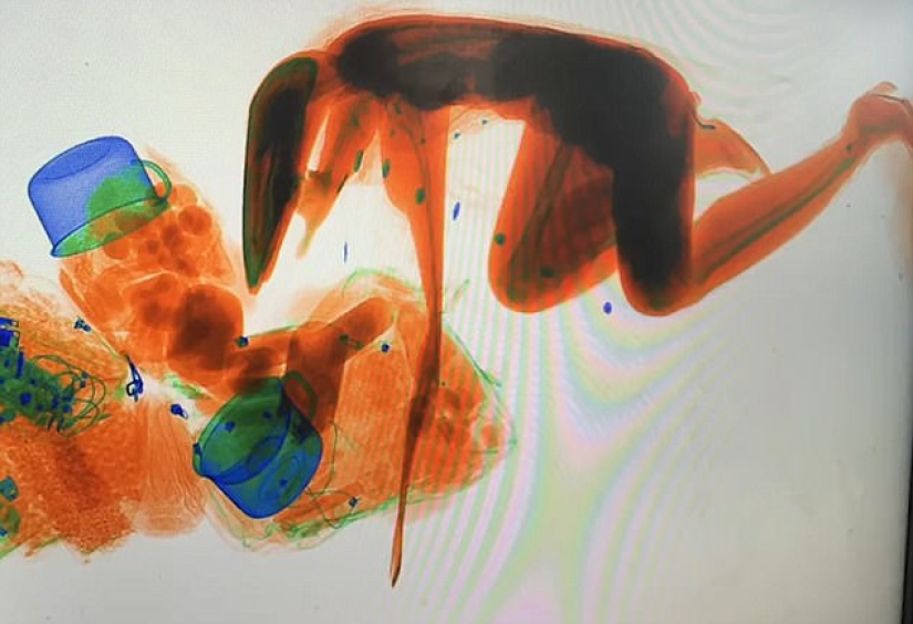 Confíe, pero verifique: la mujer china estaba tan preocupada por su bolso que se subió al escáner de equipaje para buscarlo Confíe, pero verifique: la mujer china estaba tan preocupada por su bolso que se subió al escáner de equipaje para buscarlo