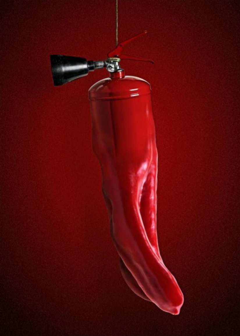 Contra el sentido común Contra el sentido común