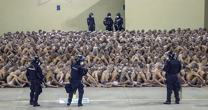 Coronavirus against gangs: in the prisons of El Salvador, they tightened the regime, spitting on quarantine