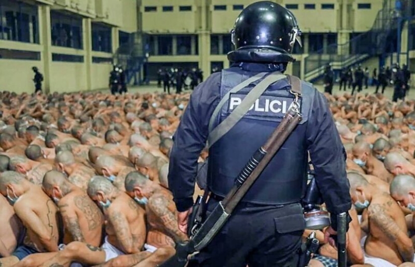 Coronavirus against gangs: in the prisons of El Salvador, they tightened the regime, spitting on quarantine