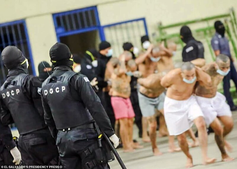 Coronavirus against gangs: in the prisons of El Salvador, they tightened the regime, spitting on quarantine