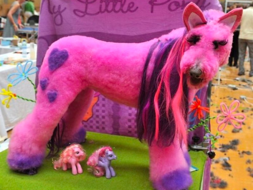 Cortes de pelo creativos para perros: 25 fotos.