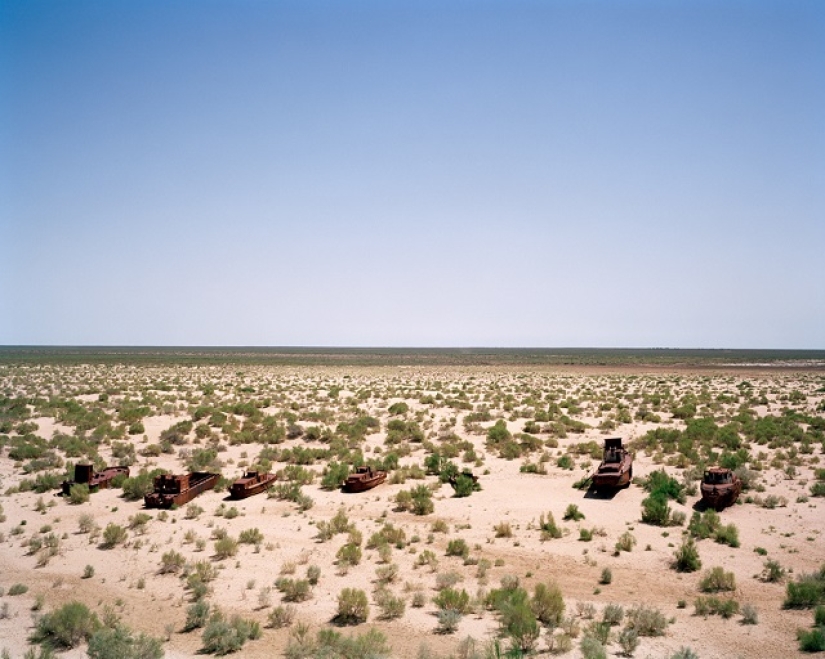 Cotton and the desert: pictures of a British photographer fascinated by Uzbekistan