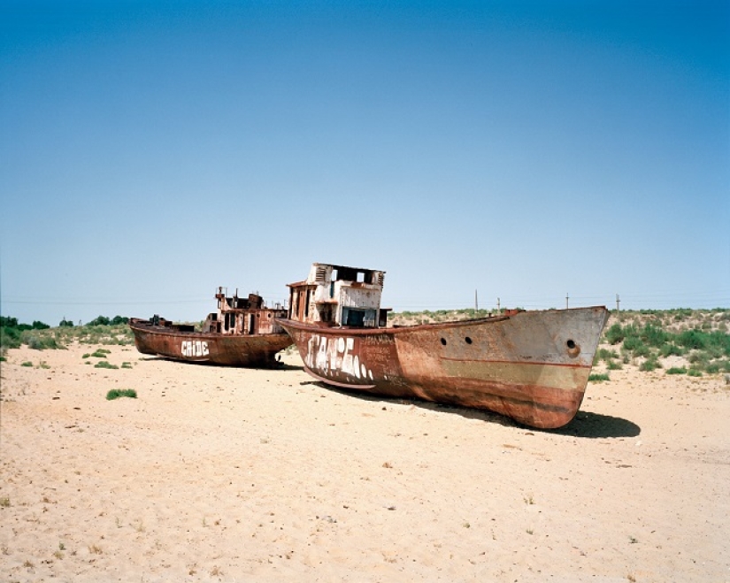Cotton and the desert: pictures of a British photographer fascinated by Uzbekistan