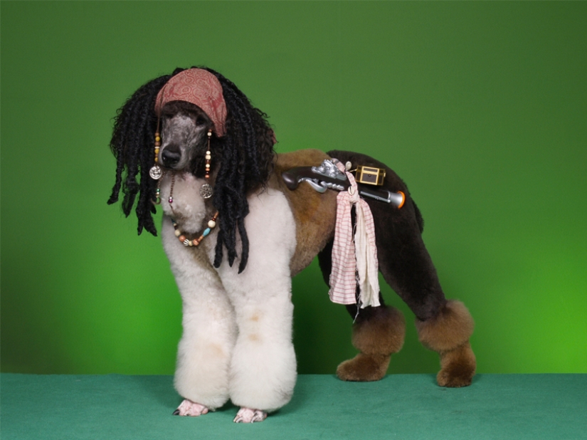 Creative haircuts for dogs: 25 photos