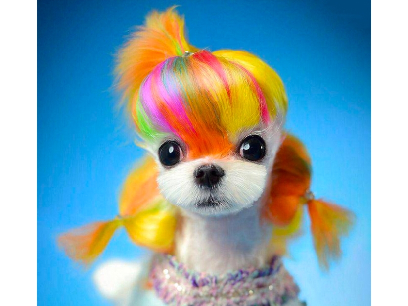 Creative haircuts for dogs: 25 photos