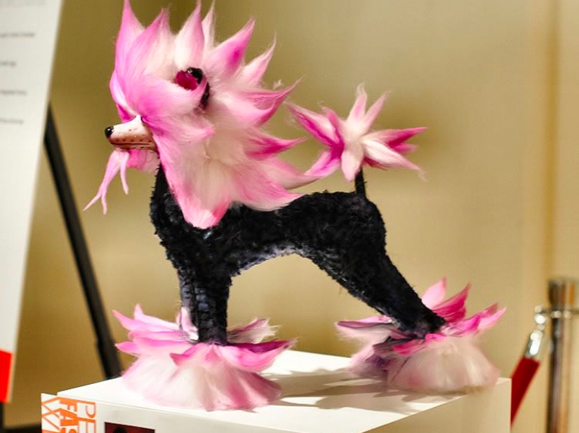 Creative haircuts for dogs: 25 photos