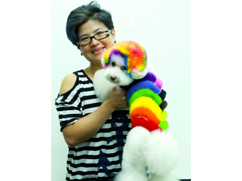 Creative haircuts for dogs: 25 photos