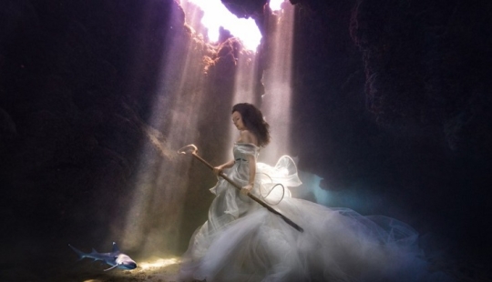 Cuento de hadas submarino con tiburones