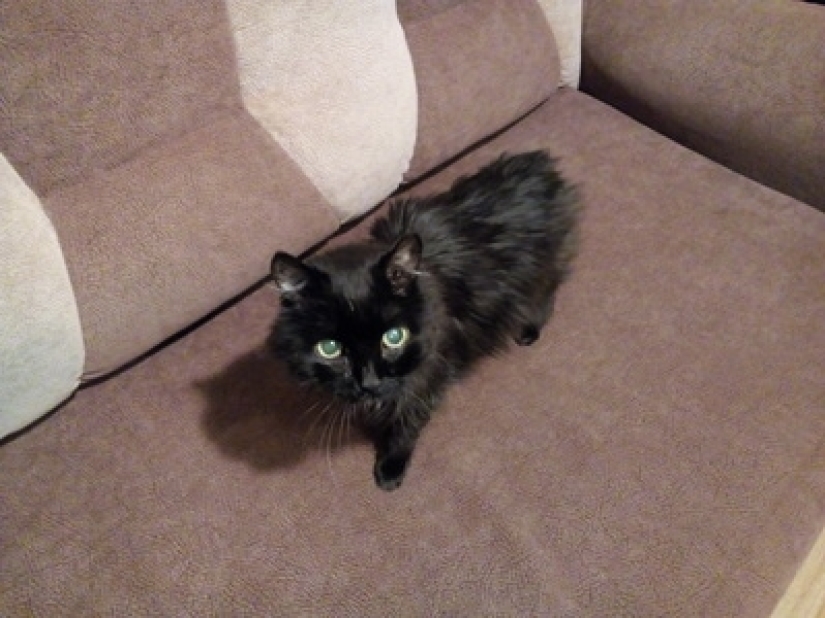 Cuida de tu familia y calidez! Cómo se ven las cosas familiares a través de una cámara termográfica