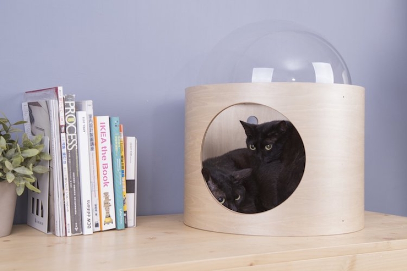 Cunas para gatos: las naves espaciales para exploradores espaciales peludos están ganando popularidad en la web Cunas para gatos: las naves espaciales para exploradores espaciales peludos están ganando popularidad en la web