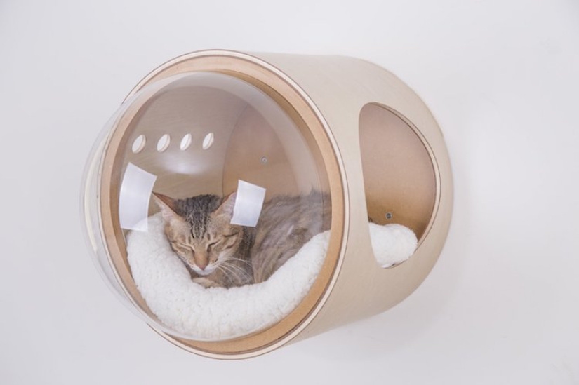 Cunas para gatos: las naves espaciales para exploradores espaciales peludos están ganando popularidad en la web Cunas para gatos: las naves espaciales para exploradores espaciales peludos están ganando popularidad en la web