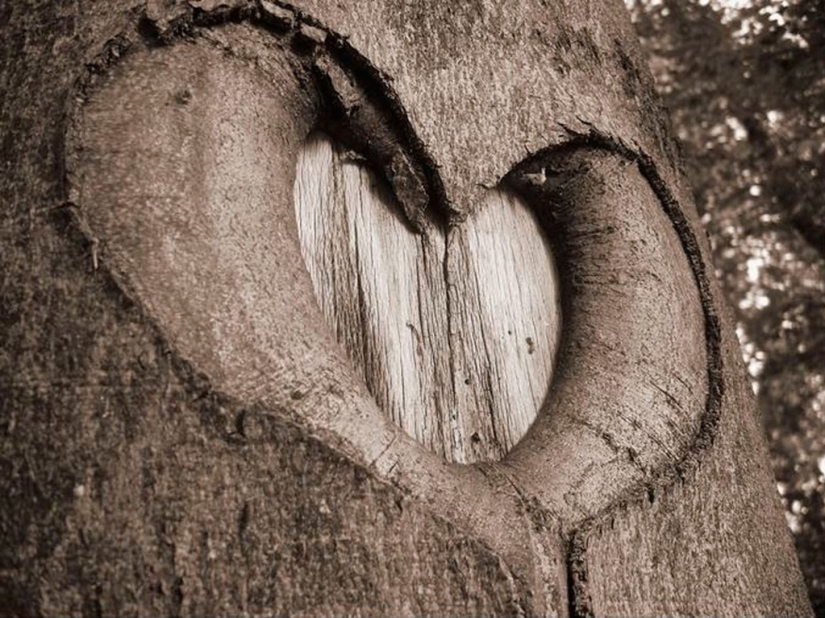 Día de San Valentín: Corazones, corazones por todas partes! Día de San Valentín: Corazones, corazones por todas partes!