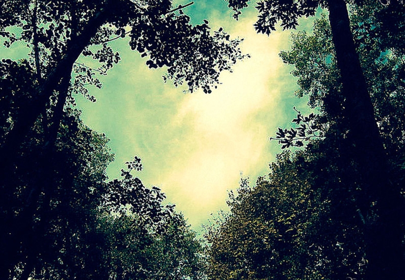 Día de San Valentín: Corazones, corazones por todas partes! Día de San Valentín: Corazones, corazones por todas partes!