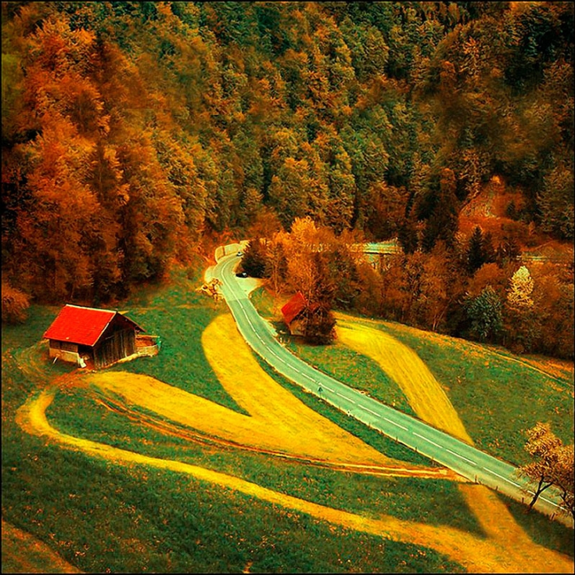 Día de San Valentín: Corazones, corazones por todas partes! Día de San Valentín: Corazones, corazones por todas partes!