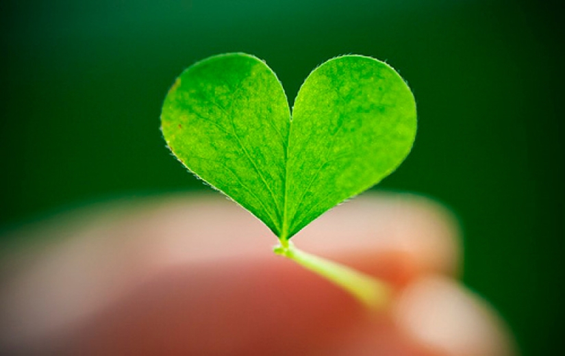 Día de San Valentín: Corazones, corazones por todas partes! Día de San Valentín: Corazones, corazones por todas partes!