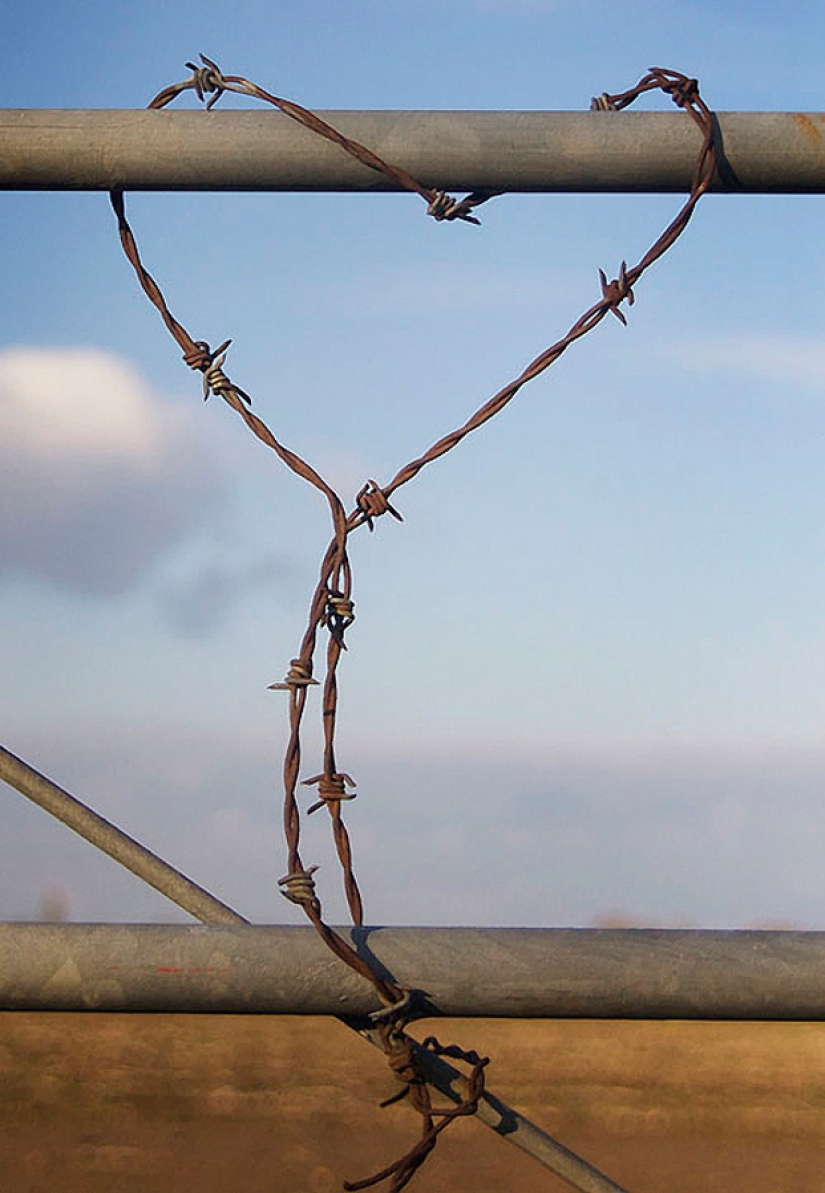 Día de San Valentín: Corazones, corazones por todas partes! Día de San Valentín: Corazones, corazones por todas partes!