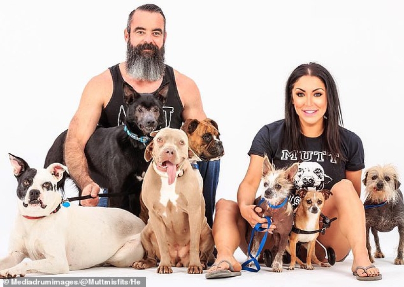 Dando vida a los marginados: una familia de Oklahoma salvó a más de 300 perros lisiados y enfermos Dando vida a los marginados: una familia de Oklahoma salvó a más de 300 perros lisiados y enfermos