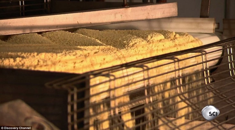 De qué, de qué, de qué son... Pringles fichas de