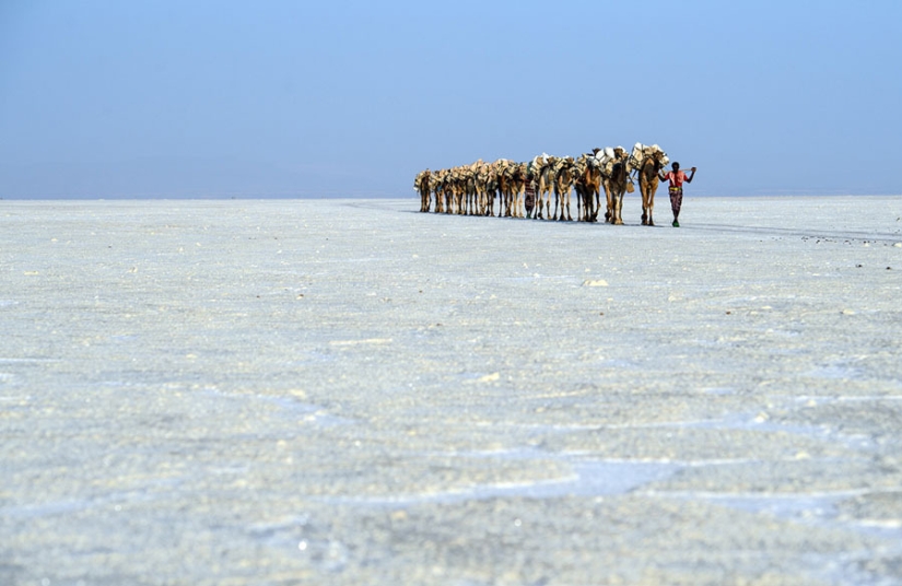 Death Valley in Ethiopia: what does the most lifeless place on the planet look like Death Valley in Ethiopia: what does the most lifeless place on the planet look like