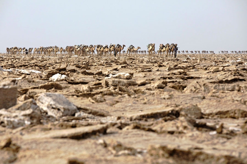 Death Valley in Ethiopia: what does the most lifeless place on the planet look like Death Valley in Ethiopia: what does the most lifeless place on the planet look like
