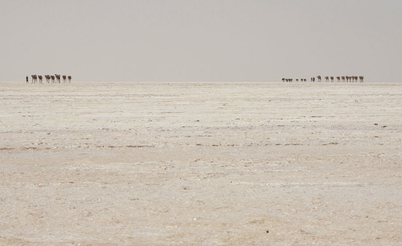 Death Valley in Ethiopia: what does the most lifeless place on the planet look like Death Valley in Ethiopia: what does the most lifeless place on the planet look like