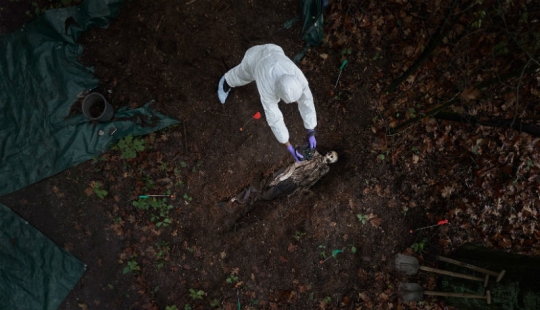 Dentro de autos que chocaron en accidentes terribles