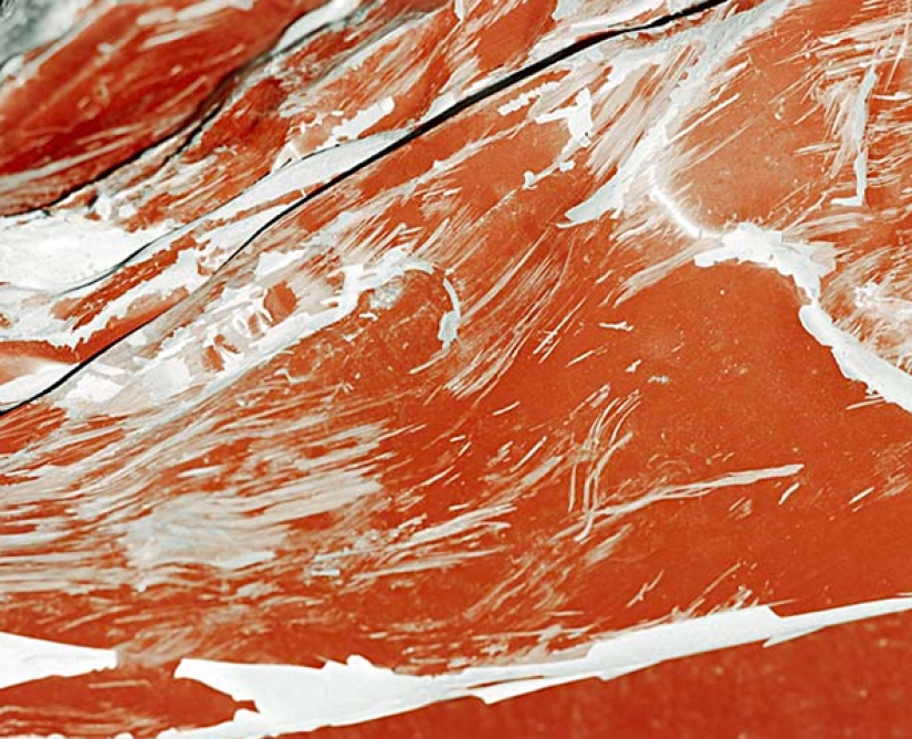 Dentro de autos que chocaron en accidentes terribles Dentro de autos que chocaron en accidentes terribles