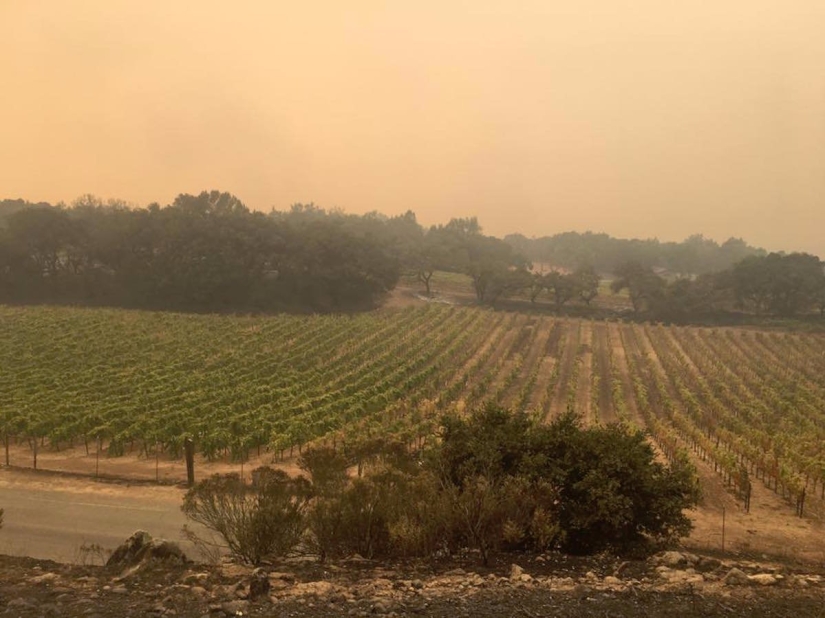 Devastation, ash and smoke: apocalyptic photos of California before and after wildfires