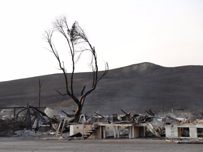 Devastation, ash and smoke: apocalyptic photos of California before and after wildfires
