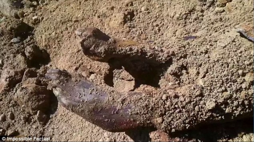 Died of smallpox in 1851: the identity of the girl buried in an iron coffin in New York is established