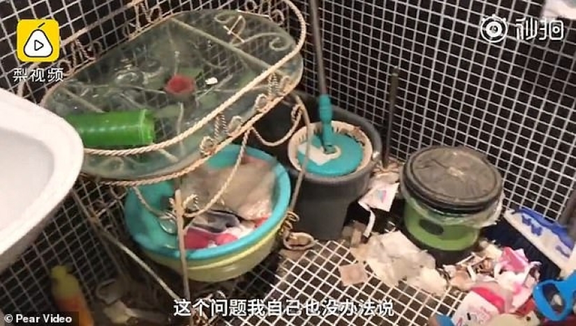 Dirty scandal: the angry landlady of the apartment showed the srach in which the glamorous blogger lives