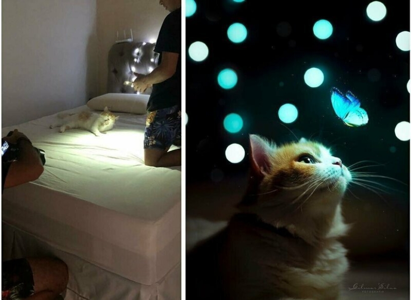 Divulgación: Gilmar Silva continúa para revelar los secretos de la fotografía profesional Divulgación: Gilmar Silva continúa para revelar los secretos de la fotografía profesional