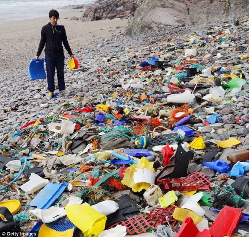 Do you like seafood? Then you regularly eat plastic Do you like seafood? Then you regularly eat plastic