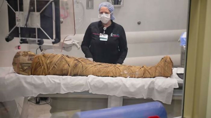 Doctors found cancer in Egyptian mummy 2,000 years after death