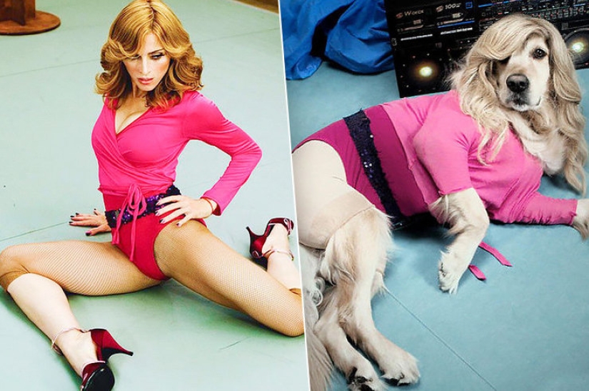 Dog Parodies Iconic Madonna Photos