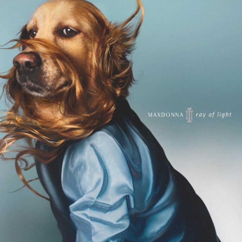 Dog Parodies Iconic Madonna Photos