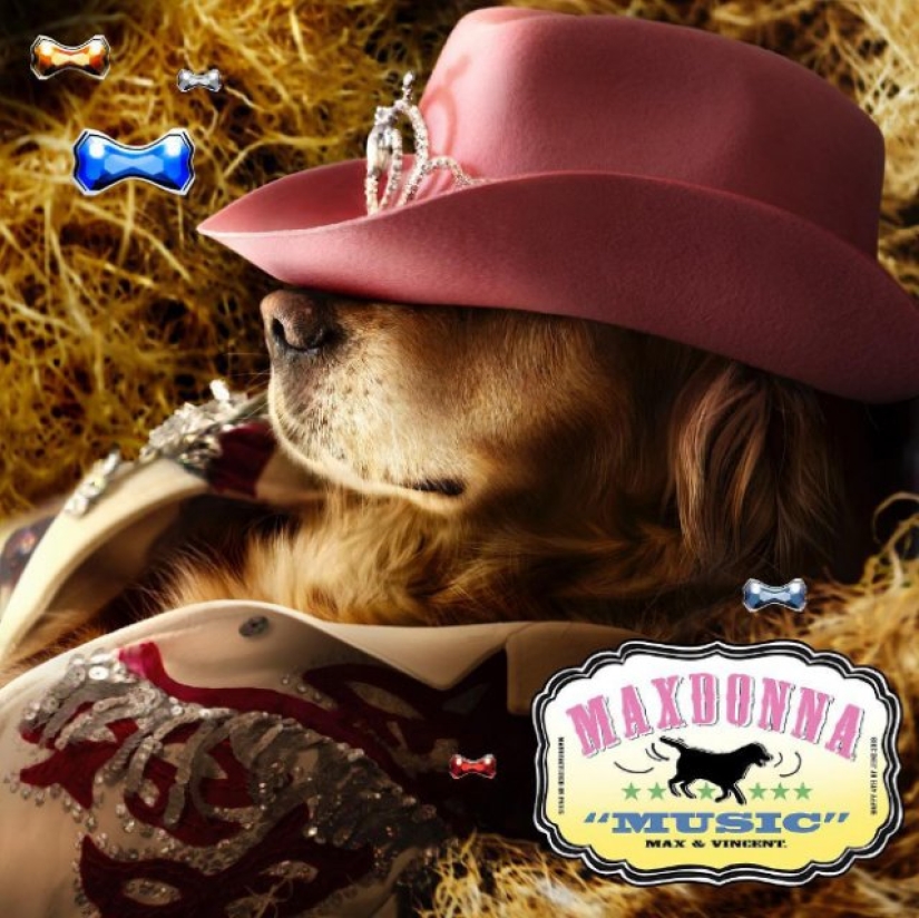 Dog Parodies Iconic Madonna Photos