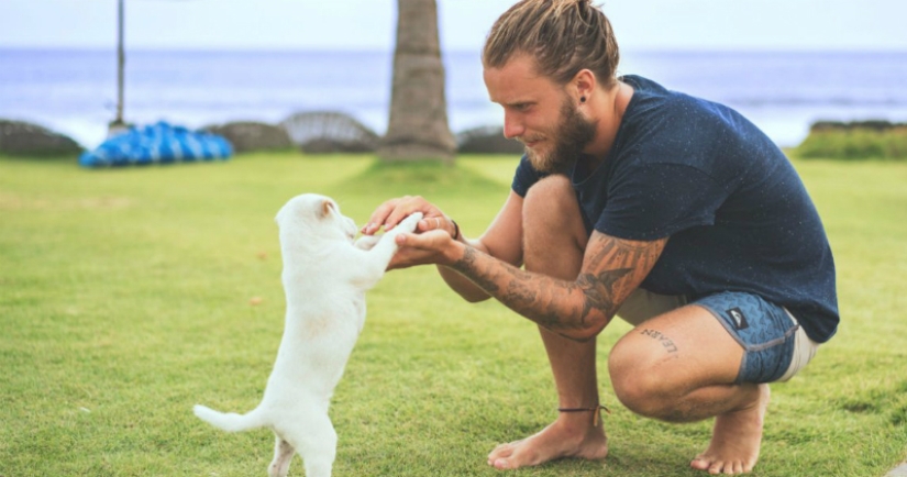 Doggie Care Leave: These companies give paid rest when employees get a pet