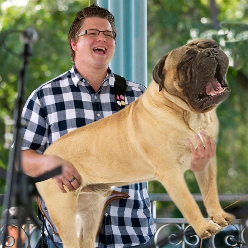 Dogs instead of guitars