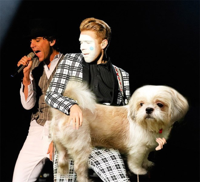 Dogs instead of guitars