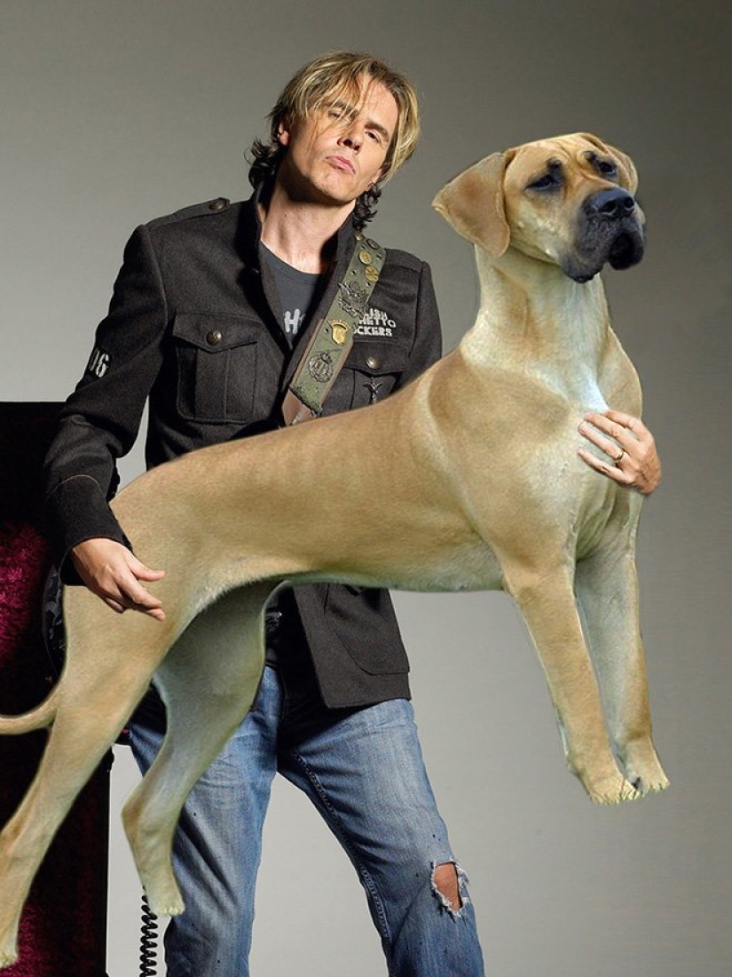 Dogs instead of guitars