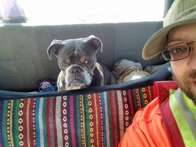 Dogs that are very offended Dogs that are very offended