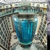 Dom Aquaree — a huge aquarium in Berlin's Radisson Blu Hotel