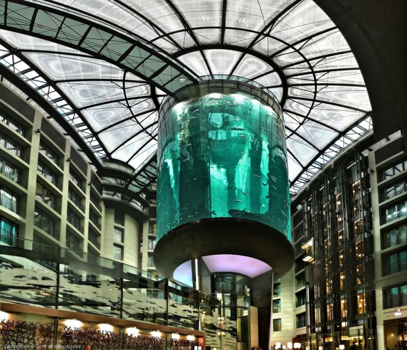 Dom Aquaree - un enorme acuario en el Hotel Radisson Blu de Berlín