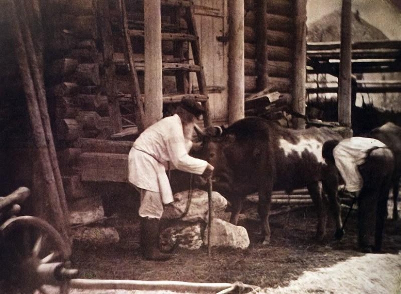 Donskoy album by Ivan Vasilyevich Boldyrev Donskoy album by Ivan Vasilyevich Boldyrev