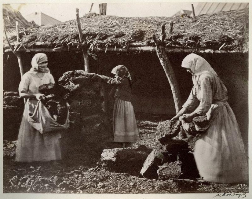 Donskoy álbum de Ivan Vasilyevich Boldyrev Donskoy álbum de Ivan Vasilyevich Boldyrev