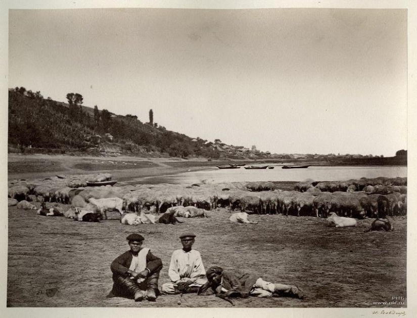 Donskoy álbum de Ivan Vasilyevich Boldyrev Donskoy álbum de Ivan Vasilyevich Boldyrev