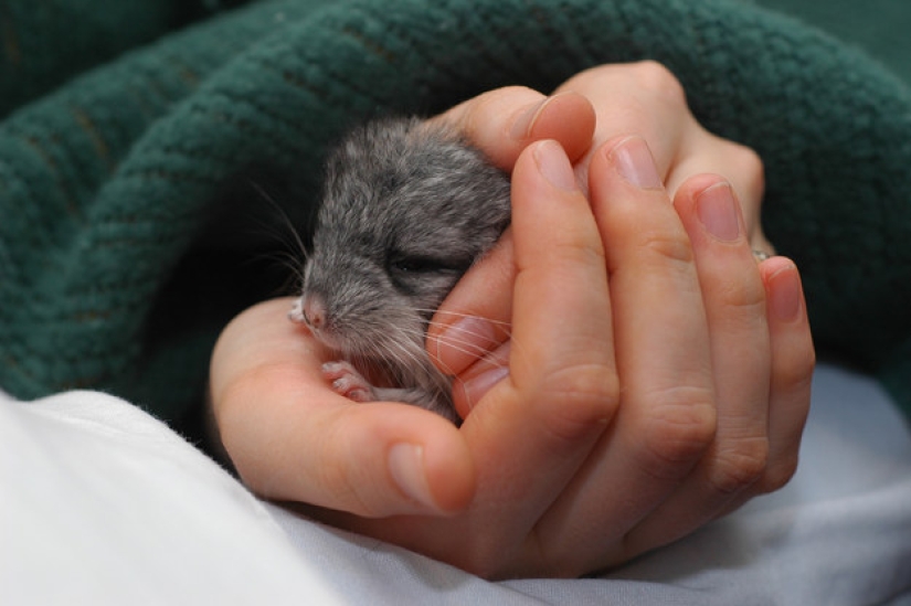 Don't be sad: these animals will remind you that the world is beautiful after all Don't be sad: these animals will remind you that the world is beautiful after all